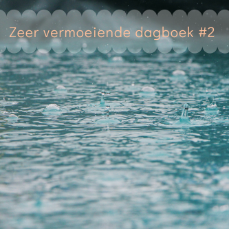 Read more about the article Zeer vermoeiende dagboek #2