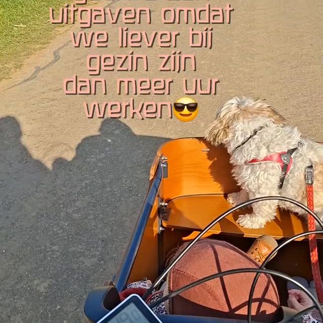 We 👏leven👏niet👏om👏te👏werken

Wij leven dus op het inkomen van +/- 1 gezin en hebben daar totaal geen last van!

Er zijn dingen waar we wel geld aan uitgeven (zoals +€200 om met de hand een speelpop voor onze dochter te maken😉) en hééél veel dingen waar ons geld niet naartoe gaat, zoals...

Waar gaf jij deze week geen geld aan uit?