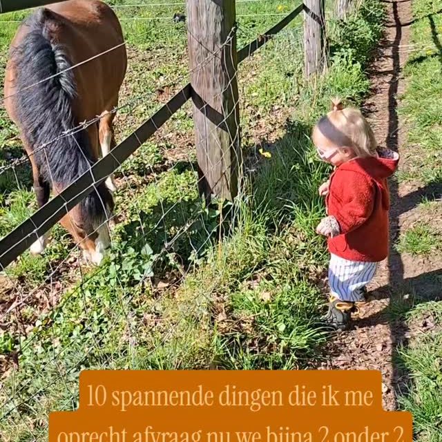 👶🏻 Hoe zal ons leven er uit zien met 2 jonge kinderen?
👶🏻 Wat zullen de kinderen van elkaar vinden?
👶🏻 Hoe zullen we onze dagen vormgeven nu we rekening moeten houden met meer mensen? 
👶🏻 Zal het écht zo chaotisch zijn als mensen zeggen? 
👶🏻 Hoe zullen we elkaar als stel treffen? Zullen we elkaar uberhaupt nog écht zien het komend jaar? 
👶🏻 Kan ik er voor zorgen dat ik me niet extreem zorgen maak over dingen zoals wakkertijden en slaapassociaties? 
👶🏻 Hoe geef ik mezelf helemaal aan dit kind zoals ik dat eerder deed voor ons eerste kind? 
👶🏻 Is er iets dat ik nog geen voorbereiden? Doen? Bedenken om de overgang voor ons allemaal makkelijker te maken?
👶🏻 De tijd vloog de afgelopen 2 jaar, het is toch zeker niet mogelijk dat de tijd nog sneller zal gaan? 

En de vraag die dan toch wel het vaakst door mijn hoofd spookt... Kunnen we dit wel? 

Heb jij een antwoord op een van deze vragen? Oh wat hoor ik het toch graag!