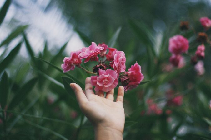 Bloemen ruiken