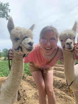 Charlie met alpacas