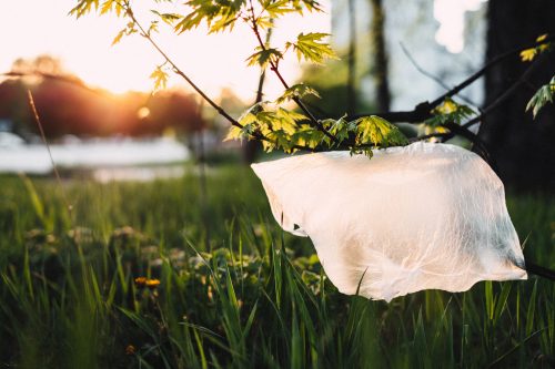 Plastic zakjes en tassen vervangen  ~ Duizend Duurzame Dingen #5