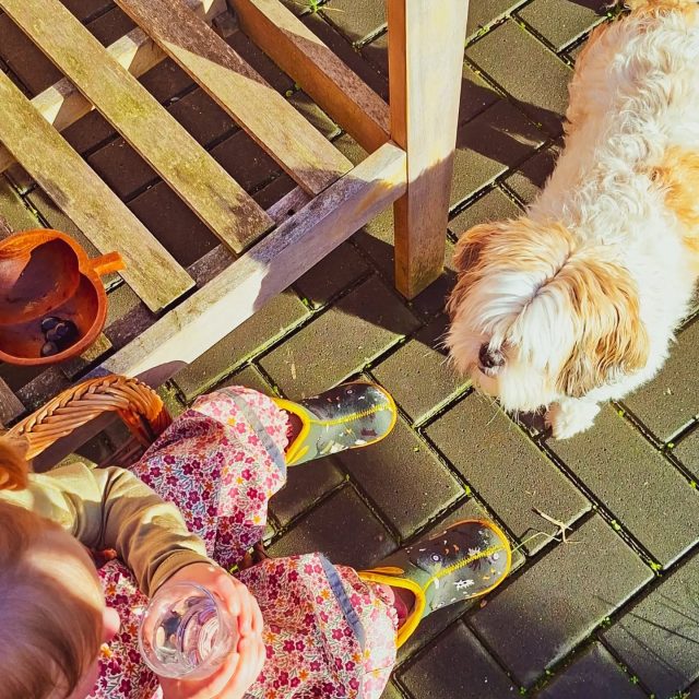 15+°C = heel de middag buiten zijn♥️🌻☀️

Nog iemand die zo van iedere zonnestraal genoot vandaag?🥰