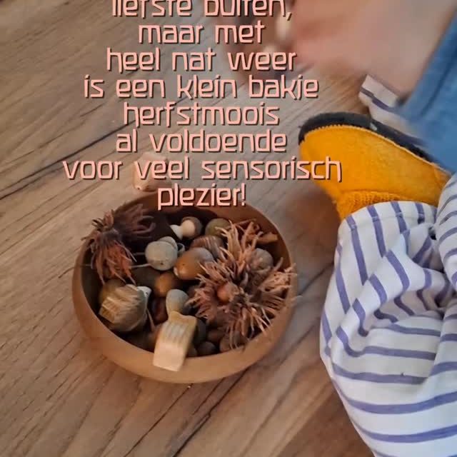 Wij hebben een hekel aan "fake" sensorisch speelmateriaal🫢

Met deze mening hebben we al een paar volgers tegen ons gekeerd🙃

Ik bezocht laatst een nieuw geopende kinderdagverblijf. In het lokaal stond een giga bak voor water, zand, gras, bladeren etc. Een natuurbak noemden ze het. 
De inhoud? Holztiger dieren (love it! Lilly ook, die ging meteen los!)
En TEMU HERFSTBLADEREN

Wat een afknapper zeg😒

Zij zien:
Leuke herfstblaadjes die niet afbrokkelen! 
Wij zien:
Temu troep gemaakt van kunststof🤢
Makkelijke oplossing:
Ga naar buiten en pak een stapel herfstbladeren

Zij zien:
Gezellig gekleurd speelrijst waar je in kunt scheppen!
Wij zien: Voedselverspilling
Makkelijke oplossing:
Ga naar buiten en vind een zandbak

Zij zien:
Mooi glitterslijm met bijzondere geuren
Wij zien:
Micro-plastic met gefabriceerde geuren😭
Makkelijke oplossing:
Bezoek of maak een modderpoel

Zij zien:
Een geweldige, sensorische belevenis goed voor de motorische ontwikkelong
Wij zien: 
Een nep-oplossing voor iets dat 20 jaar geleden niet bestond
Makkelijke oplossing:
GOOI DIE TROEP WEG EN GA NAAR BUITEN

I know. We zouden niet meer spreken over "wij" versus "zij". Maar het is wel de realiteit. Wanneer is het normaal geworden om ons leven zo te vullen met troep terwijl de natuurlijke wereld zoveel te bieden heeft?

We verbazen ons er keer op keer over, maar weten ook dat een mening zoals deze al snel weggeschreven zal worden als overdreven en extreem🤣

Achja, misschien herkent iemand zich in deze spreekbeurt? You can only hope so🤞