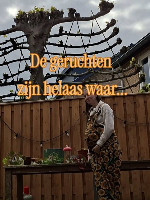 Voor mij zagen de voorbereidingen er nu al 2x zo uit:
✅️Krachtige bevalverhalen van andere vrouwen lezen en horen
✅️ Ademhalingsoefeningen doen om weeën weg te kunnen zuchten
✅️ Het bevallen niet romantiseren. Het is zwaar werk en ik zal veel kracht nodig hebben.
✅️ Visualiseren hoe mijn ideale bevalling eruit zou zien (meerdere keren doen en telkens weer andere scenario's voorstellen)
✅️ Pijnbestrijdingsmiddelen die bij mij passen uitzoeken en oefenen (zoals een bevalkam, tensmachine, bevalbad en ademhaling(
✅️ Me inlezen in welke (medische) handelingen mogelijk zouden kunnen zijn
✅️ Frambozenbladthee drinken & colostrum kolven (na 37 weken)
✅️ Naar een info avond van het lokale ziekenhuis gaan en me daar laten informeren over als de bevalling medisch zou worden

Jouw voorbereidingen kunnen er volledig anders uitzien. Het is jouw bevalling!♥️

Maar zeg niet dat je je niet hoeft voor te bereiden want zowel mentaal als fysiek is er werk aan de winkel😉