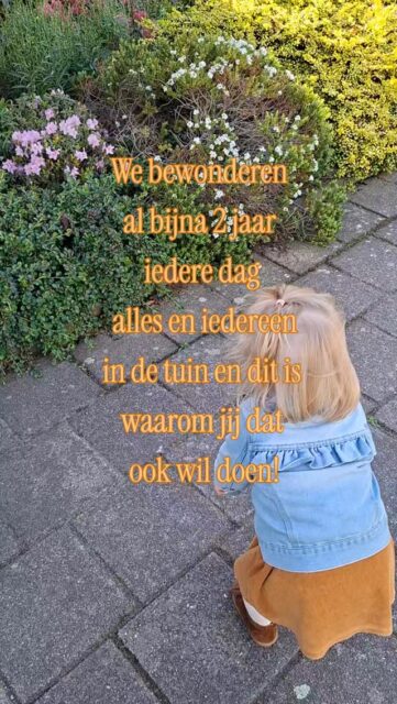 Zeker met de opkomst van AI is dit zó belangrijk!

De natuur liegt niet. Het gras onder je voeten is een feit. Stromend water stroomt niet spontaan dmin tegengestelde richting. De natuur, is per definitie écht.

Echter dan de social media app waar ik nu in typ. Echter dan de supermarkt met zijn "aanbiedingen". Echter dan wat de mannetjes aan de top graag willen dat wij slikken. 

Klinkt heel conspiracy theory maar het valt wel mee, I promise😝

Terug naar de natuur! Wist je dat er steeds meer kinderen zijn die niet weten waar melk vandaan komt? Hoe brood gebakken wordt? Wat honing uberhaupt is? Klinkt ook behoorlijk dramatisch, maar uit onderzoek is dit helaas dus wel gebleken.🥲

En juist daarom gaan we de natuur in. Zoek ik op welke inheemse bloemen en planten op dit moment bloeien, bewonderen we de insecten die in de zomer zo hard aan het werk zijn. ��Dit is de puurste vorm van tegengewicht bieden tegen bijvoorbeeld AI, maar ook tegen het patriarch. De grote mannen aan de top (denk Amazon, Meta, etc.) willen juist dat we verdwaald raken in onze telefoons in plaats van in de natuur. �
De volgende generatie weer leren wat er zich buiten afspeelt allemaal is het allerbeste wat we kunnen doen voor de toekomst van de wereld🐌🌼
