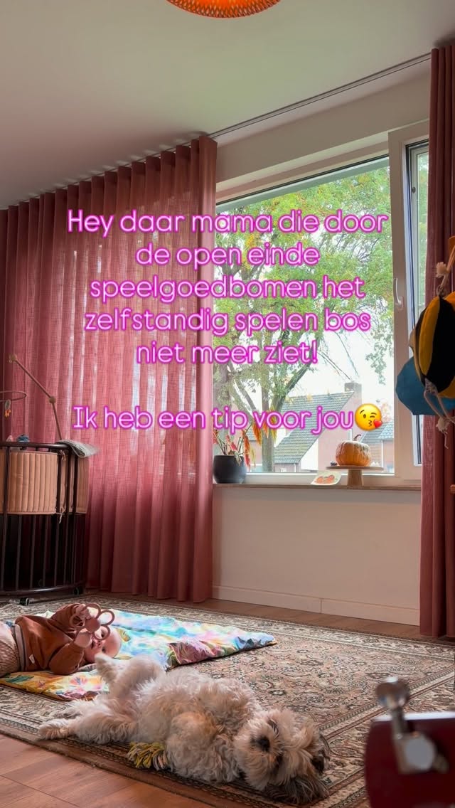 Ik maakte een speelgoedgids voor ouders die geen zooi in huis willen halen in december. Laat een 🎁 achter en ik stuur je de downloadlink🫶🏻