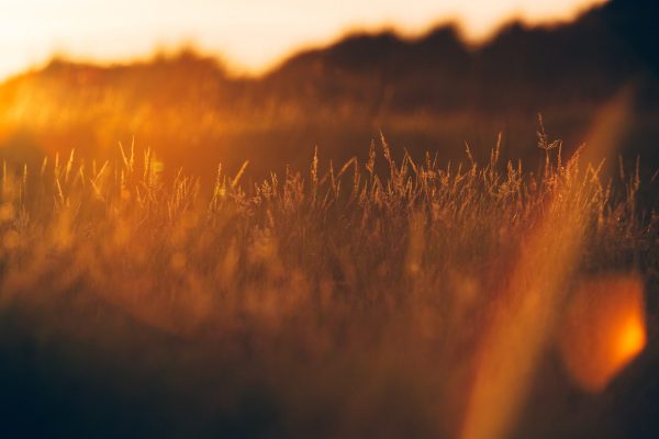 Tips zomertijd (5) Tips zomertijd (5)