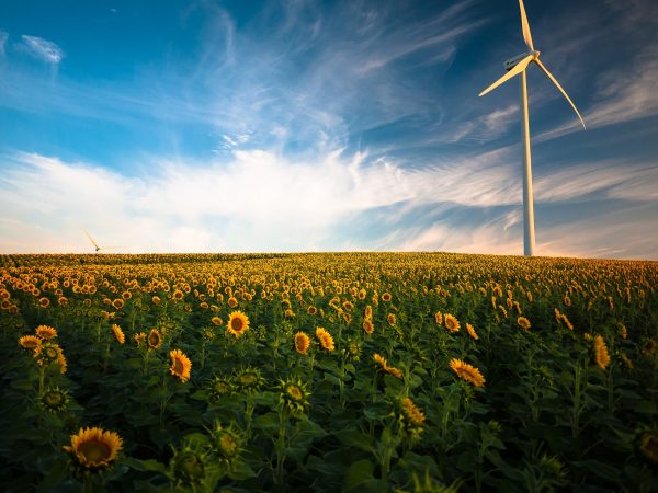 Duurzaamheid wind energie