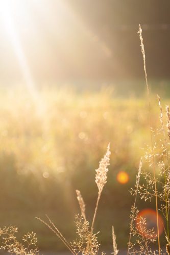 Pure zonnestralen daglicht